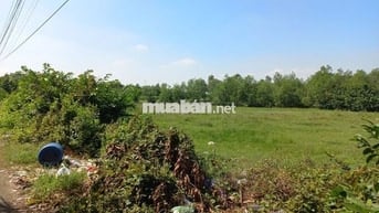 880TR/1000m2 đất CLN sổ riêng, đường ô tô, có điện, gần nút giao VĐ3