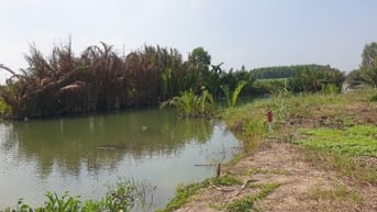 888tr trọn sổ 1000m2 đất sạch 100% đường ô tô, sổ riêng Vĩnh Thanh củ 