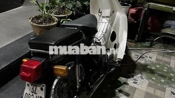 Honda Cub Custom