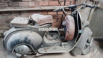Vespa Acma Xám Đã sử dụng