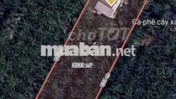 Cần bán đất vườn dừa 1,300m2 mặt tiền đường nhựa