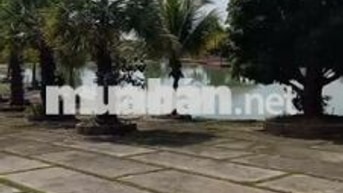 Nhà vườn Củ Chi, 3 mặt hẻm xe 30 chỗ, xe 8 tấn đến tận nhà Tân An Hội 