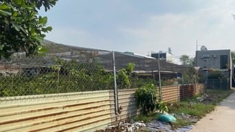 Cho thuê khu đất 126 Lại Hùng Cường xã Tân Vĩnh Lộc, 800m2, 8tr/th