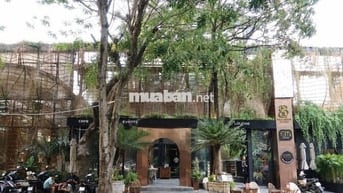 🏡 CHO THUÊ BIỆT THỰ SÂN VƯỜN  PHAN XÍCH LONG QUẬN PHÚ NHUẬN 🌳