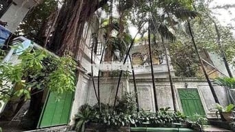 15x16m Biệt Thự Sân Vườn Đường Hoàng Sa - Quận 1
