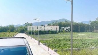 🏡 AN CƯ DỄ DÀNG – ĐẤT SỔ RIÊNG TỪ 4XX TRIỆU/NỀN 🏡
