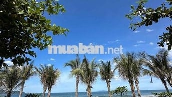MẶT TIỀN VÕ NGUYÊN GIÁP 2200m2 - MẶT TIỀN 70m