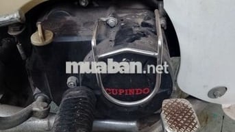 Honda Cub 2020 Trắng kem