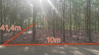 Công ty Đấu giá hợp danh Lam Sơn Sài Gòn THÔNG BÁO ĐẤU GIÁ TÀI SẢN