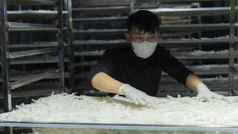 Quy Trình Sơ Chế Củ Cải Tại Nông Sản Nhà Vũ