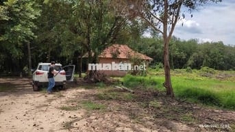 Bán đất An Điền Bến Cát DT748 có thổ cư nhà trên đất