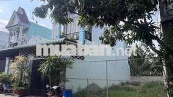 CHỦ NGỘP ĐẤT MẶT TIỀN HÓC MÔN 85M2 GIÁ 1,55 TỶ SHR - PL RÕ RÀNG