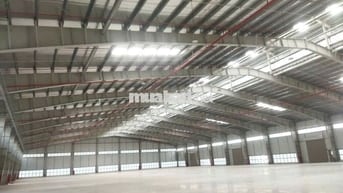 cho thuê kho xưởng huyện cần giuộc , Tỉnh TâyNinh ( Long An Củ ) 