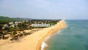 CHÍNH CHỦ BÁN ĐẤT THỔ CƯ SÁT BIỂN HOÀI NHƠN ĐÔNG CHỈ 50M ĐI BỘ RA BIỂN