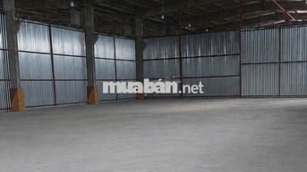 Cho thuê kho Nguyễn Văn Quỳ – 1200m2 – tách diện tích linh hoạt 
