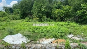 ĐẤT Xã Dầu Tiếng (đường Trần Phú) 785m2 (có 260m2 thổ cư) Giá 2Tỷ850