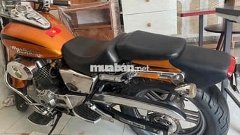 Harley Davidson màu Cam