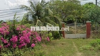 Bãi Đất Trống Cho Thuê , kế bên Dự Án Vin Nam Cam Ranh