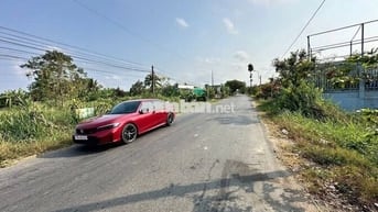 Nhựa Cao Thị Mai 5x55m thổ cư, sổ sẵn - Tân Trụ, Long An