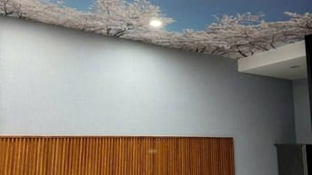 CHÍNH CHỦ CHO THUÊ NHÀ NGUYÊN CĂN ĐƯỜNG NGUYỄN PHI KHANH, P. TÂN ĐỊNH,