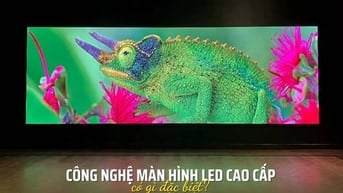 Màn hình LED Nextworld công nghệ đột phá