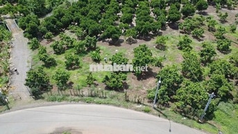 🌿 27M MẶT TIỀN NHỰA – VIEW SUỐI ĐẸP QUANH NĂM