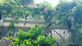 Cho thuê tầng trệt kinh doanh hoặc hợp tác 