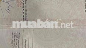Bán cặp nền tại chợ cái dứa có nhà cấp 4 vừa ở vừa kinh doanh Diện tíc