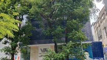 32 Tỷ RẺ NHẤT PHƯỜNG BẾN THÀNH - MT Yersin DT ngang 13,5m 5 Tầng