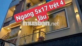 CHỦ GẤP BÁN NHÀ ĐẸP GÒ DẦU – 84M² – 5 TẦNG – CHỈ 8.3 TỶ TL