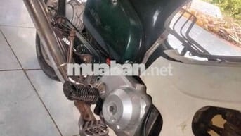 Honda Super Cub 50 Xanh trắng