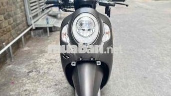Scoopy 2023 Vàng Cát Nhập indo ( Hàng Bỏ Mẫu )