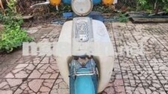 Honda Cup 50cc Xanh