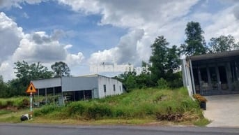 Cần Sang Gấp Lô Đất 300m2/620Triệu Bàu Bàng mặt tiền đường kinh doanh 
