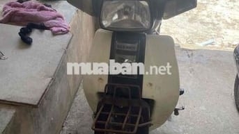 Honda Dream II Trắng