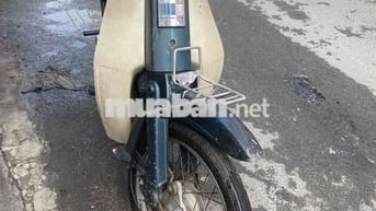 Honda Cub màu Xanh, Kem