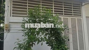 Chính chủ Cho Thuê - Không Nhận Môi Giới