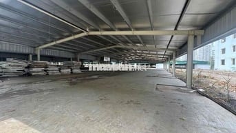 cho thuê kho đường Đào Trí 48.000m2