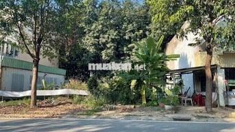 Bán Gấp Lô Đất 300m2 Gần Chợ Mỹ Phước, Bến Cát 820Triệu Dân Cư Đông