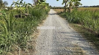 190 Triệu đất Vườn 500m2 nền cao ráo