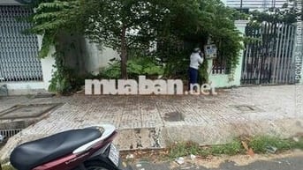 130m² chỉ 1,7 tỷ tại KDC Tân Đô – Cơ hội hay là món hời bị bỏ lỡ?