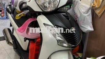 Honda SH 2010 Trắng