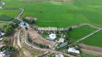 🌾 Chỉ từ 350TR sở hữu ngay lô đất trong khu Lúa Farmstay 🌾