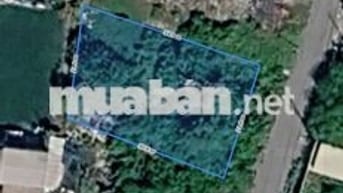 CHỦ NGỘP GIẢM SÂU – BÁN ĐẤT TRỒNG CÂY LÂU NĂM 679m² 