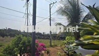 Đất gần KCN Xuân Quế - Sông Nhạn giá tốt, phù hợp phân lô, tách thửa