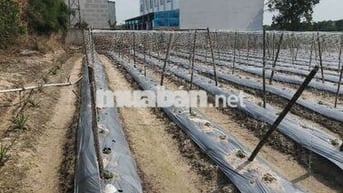 💥💥💥Đất đẹp hiệp an thủ dầu một