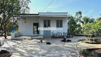 Bán nhà vườn Trừ Văn Thố,Bàu Bàng 500m2/590Triệu giá mềm đầu tư 