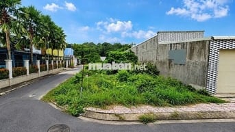 ĐẤT THỊ TRẤN CỦ CHI. MẶT TIỀN ĐƯỜNG NHỰA. SHR. 720 TRIỆU