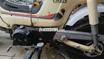 Honda Chaly 2009 màu Vàng