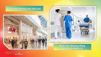🌊VÂN BAY – BIỂU TƯỢNG SỐNG MỚI GIỮA TRUNG TÂM VÂN ĐỒN  🌊